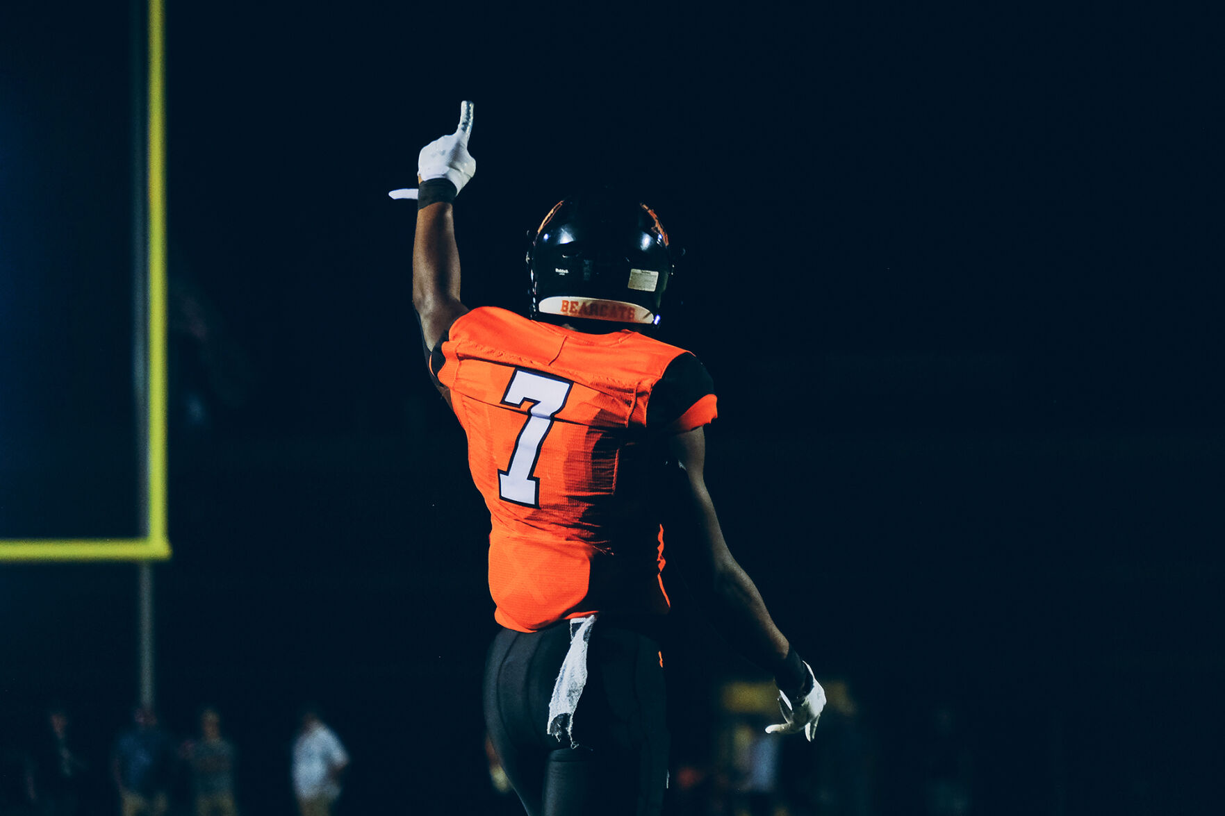 Aledo Bearcats